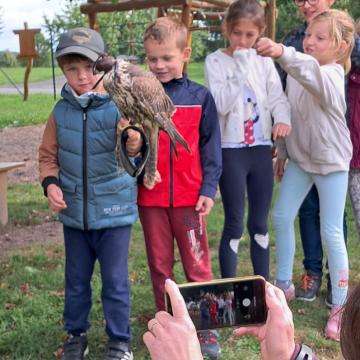 fda8a78d-6ac0-4b03-ba5c-5437d68c52da