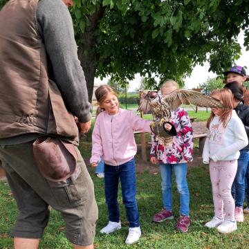 eab1eec8-bba0-4325-93c1-35e135e280f9