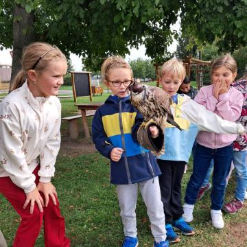 3b7af2e3-4927-4687-801e-1877466c918d