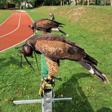 681e0ba7-57b9-40b0-88c1-83c0a152055f