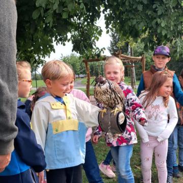 6cae1f47-b5c3-439b-b302-dcbbde511750