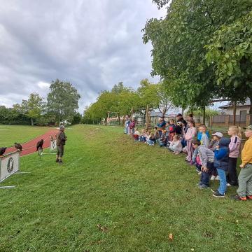 fc9fa3bc-dfcb-45b1-b236-c765a56702bb