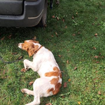 ec3a061e-4347-4862-82e9-3bc8a14d47b7