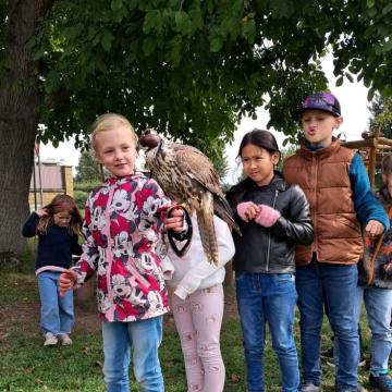 7572c61f-1891-472c-881e-5f44e17fe8f4