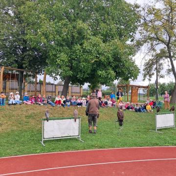 3e3ad782-117b-4617-8ec8-2cc424788e69