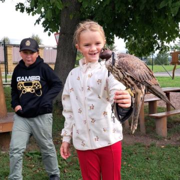 2eff8d09-42c2-4e70-875f-266f58d14db9