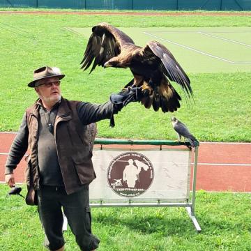 766e67ed-6649-4a85-9f6e-7c7c345cb096