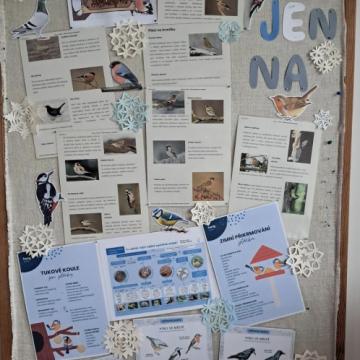 Screenshot_20260209_180217_Photos